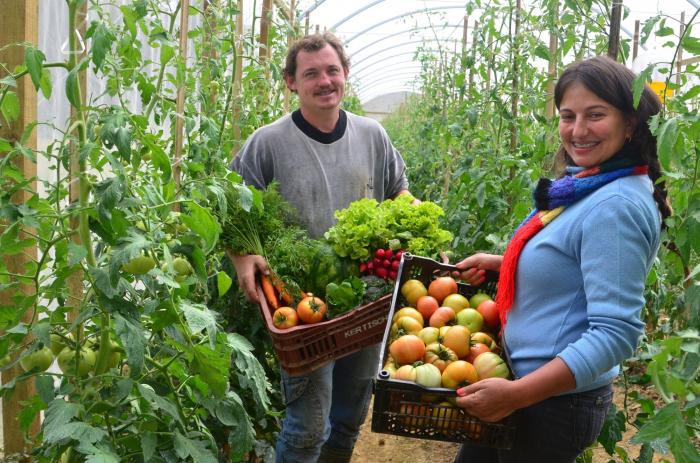 Instituto Federal Catarinense Abre Chamada Pública Para Compra De Alimentos Da Agricultura 4996