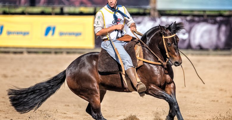 Classificatória Aberta ao Freio de Ouro revela seus selecionados para a