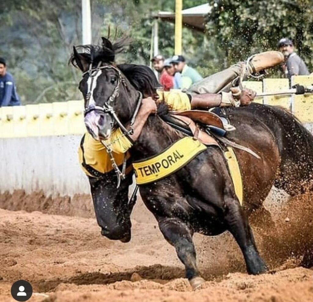 Plano De Fundo Vaquejada