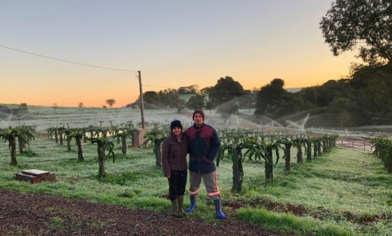 Em época de baixas temperaturas, o cuidado com o sistema de