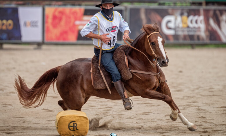 Lance Rural transmite o Cavalo Crioulo na EXPOINTER ao vivo e