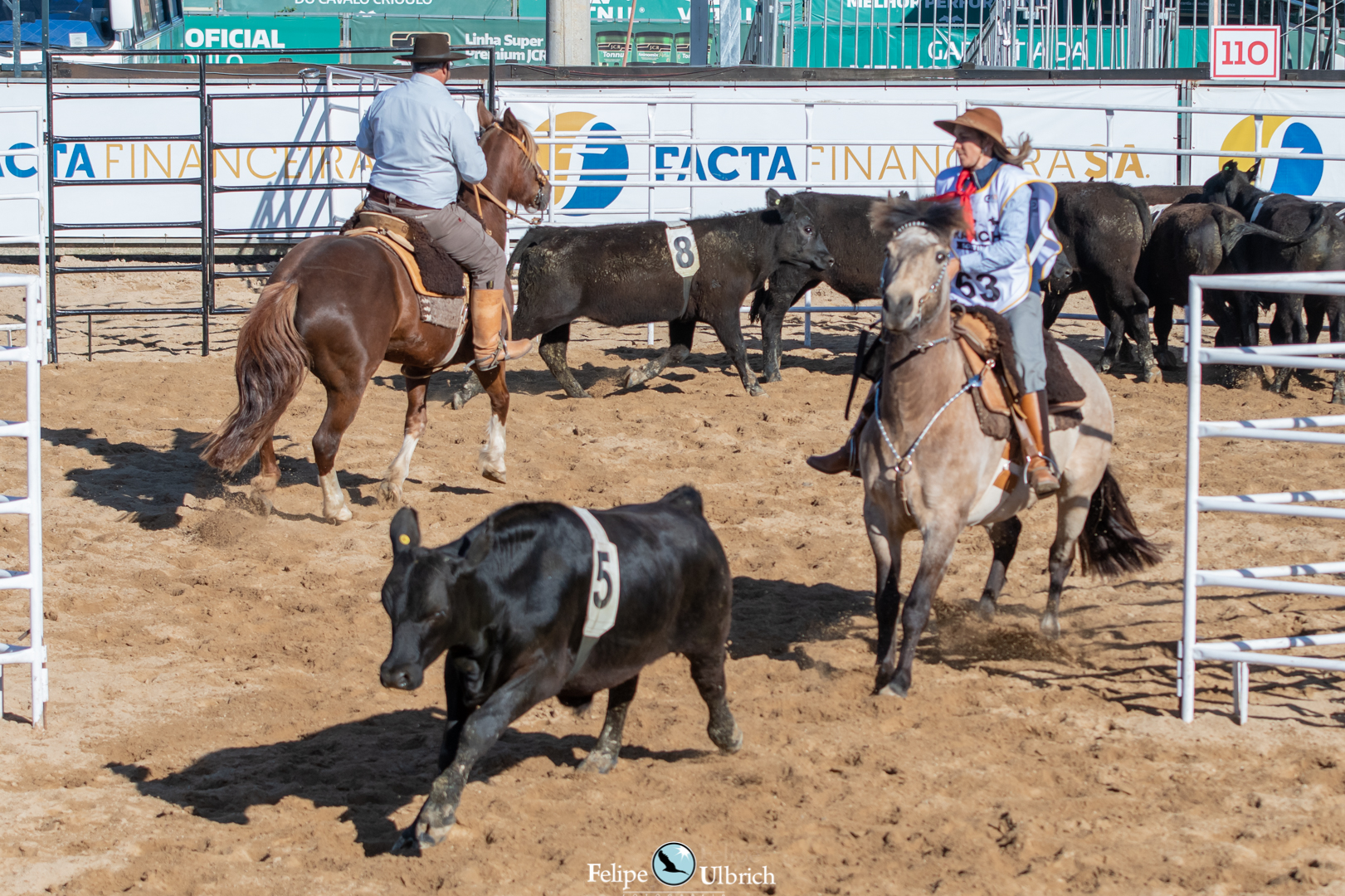 Ranch Sorting: alteração de regulamento implementa novas categorias ...