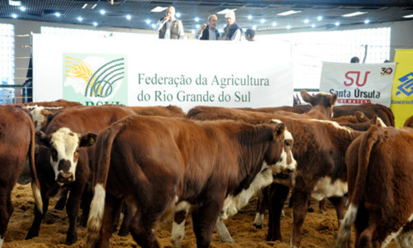 44ª Feira do Terneiro, Terneira e da Vaquilhona 